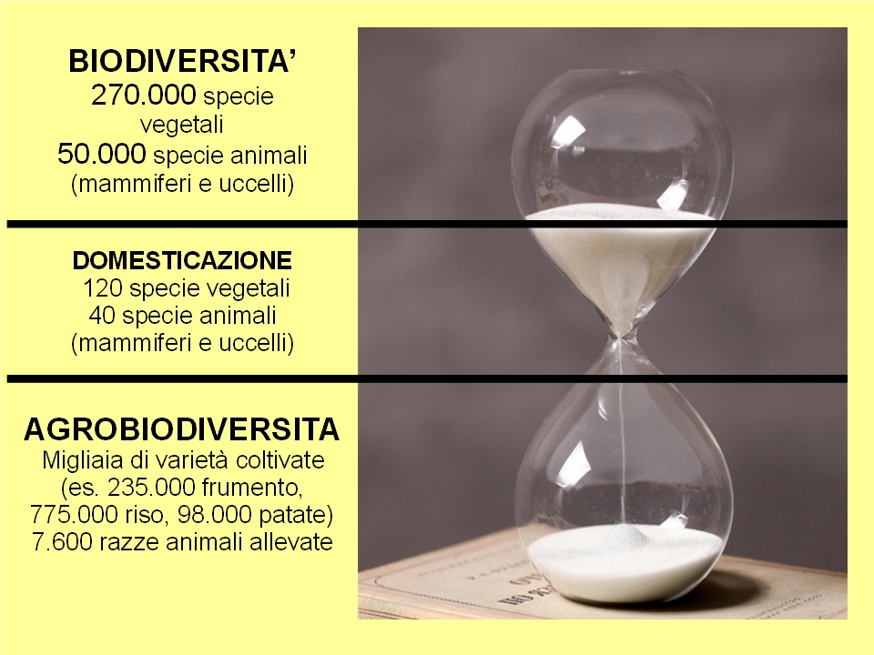 Agro biodiversit Box 1