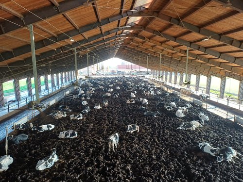 La più grande Compost Barn d’Europa è in Piemonte