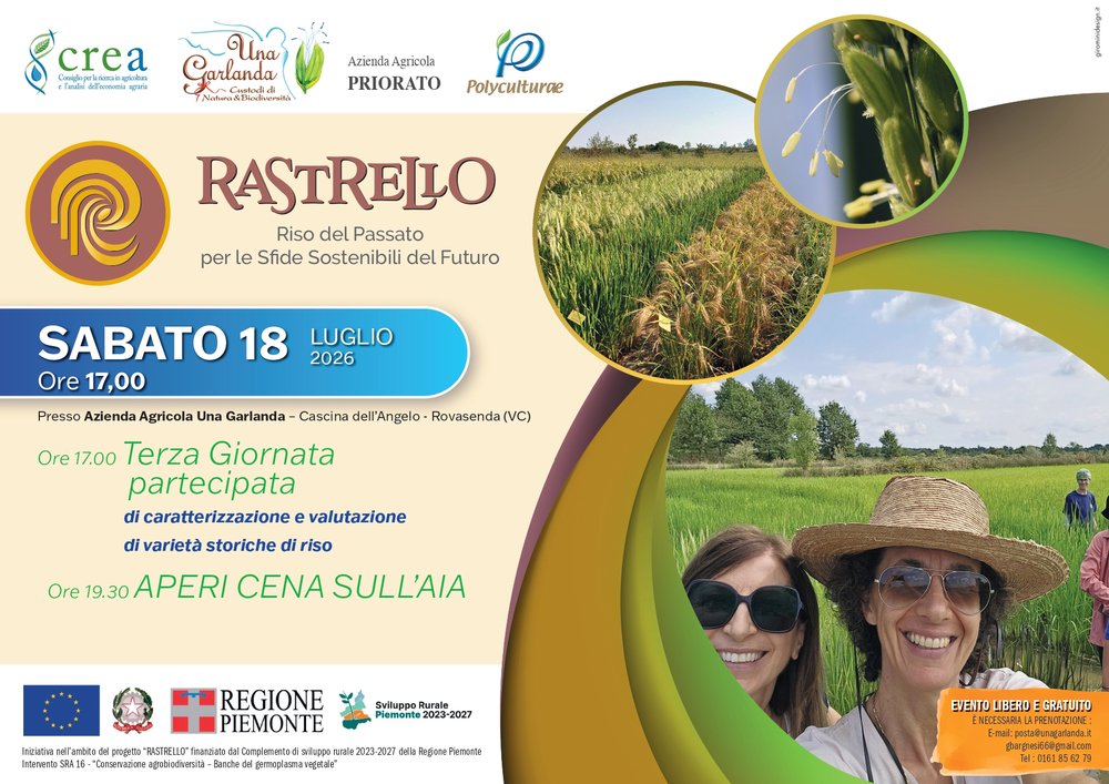Rastrello - Riso del Passato per le Sfide Sostenibili del Futuro