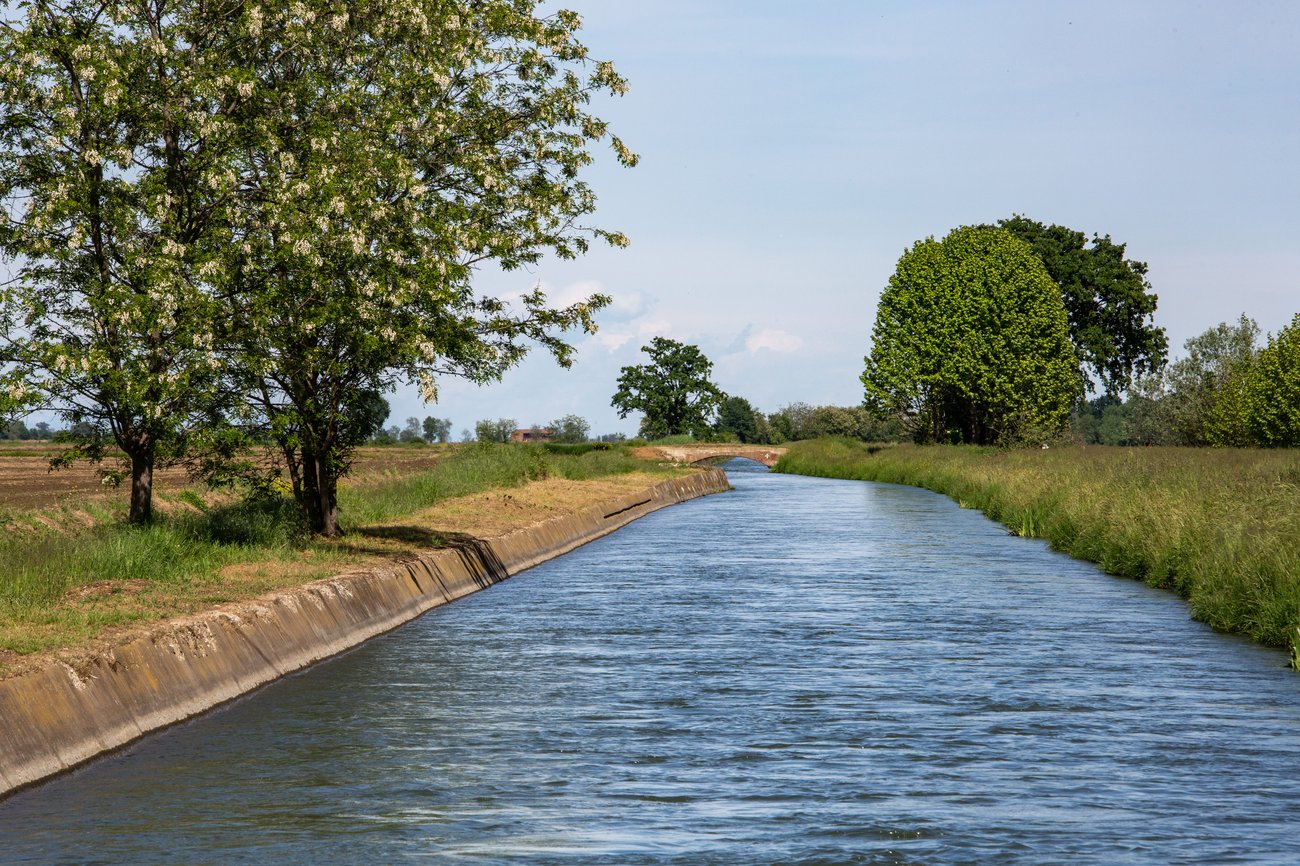 Gestione Rischio - Canale