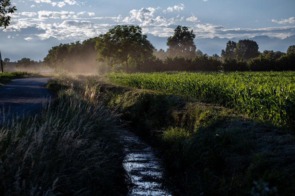 Gestione Rischio - Acqua