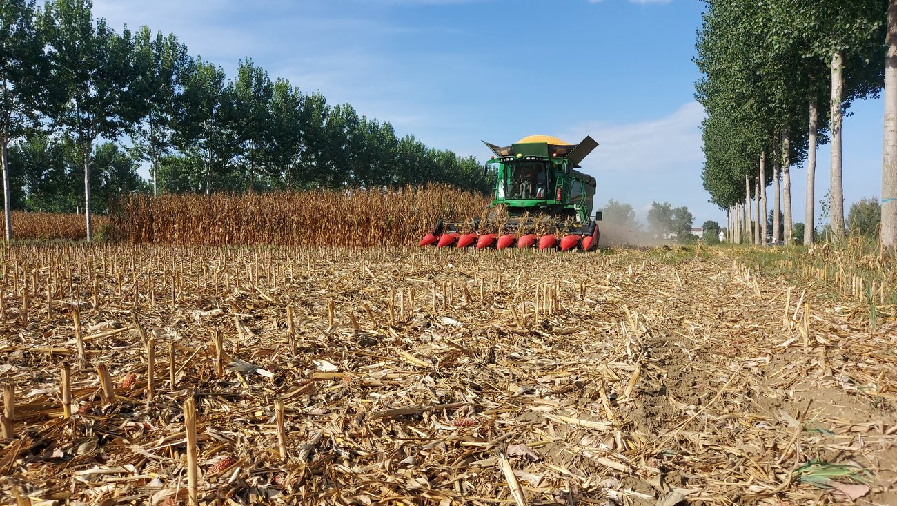 Agroforestazione - Lavori in campo