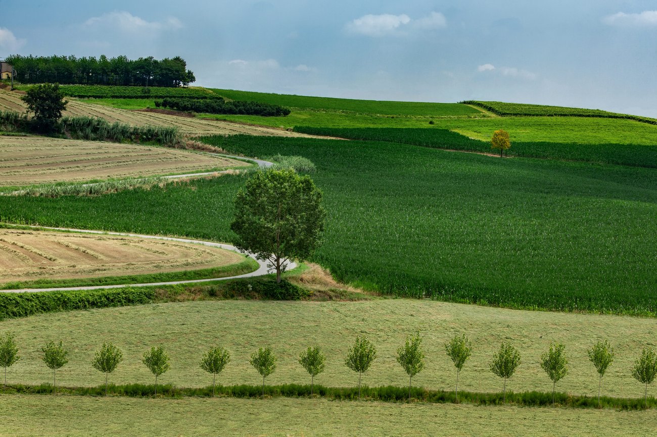 Carta potenzialità tartuficola - Fondovalle