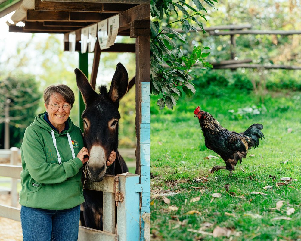 Gemme - Episodio 7 - Cascina del Mulino