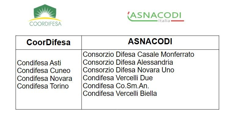 CoorDifesa - ASNACODI
