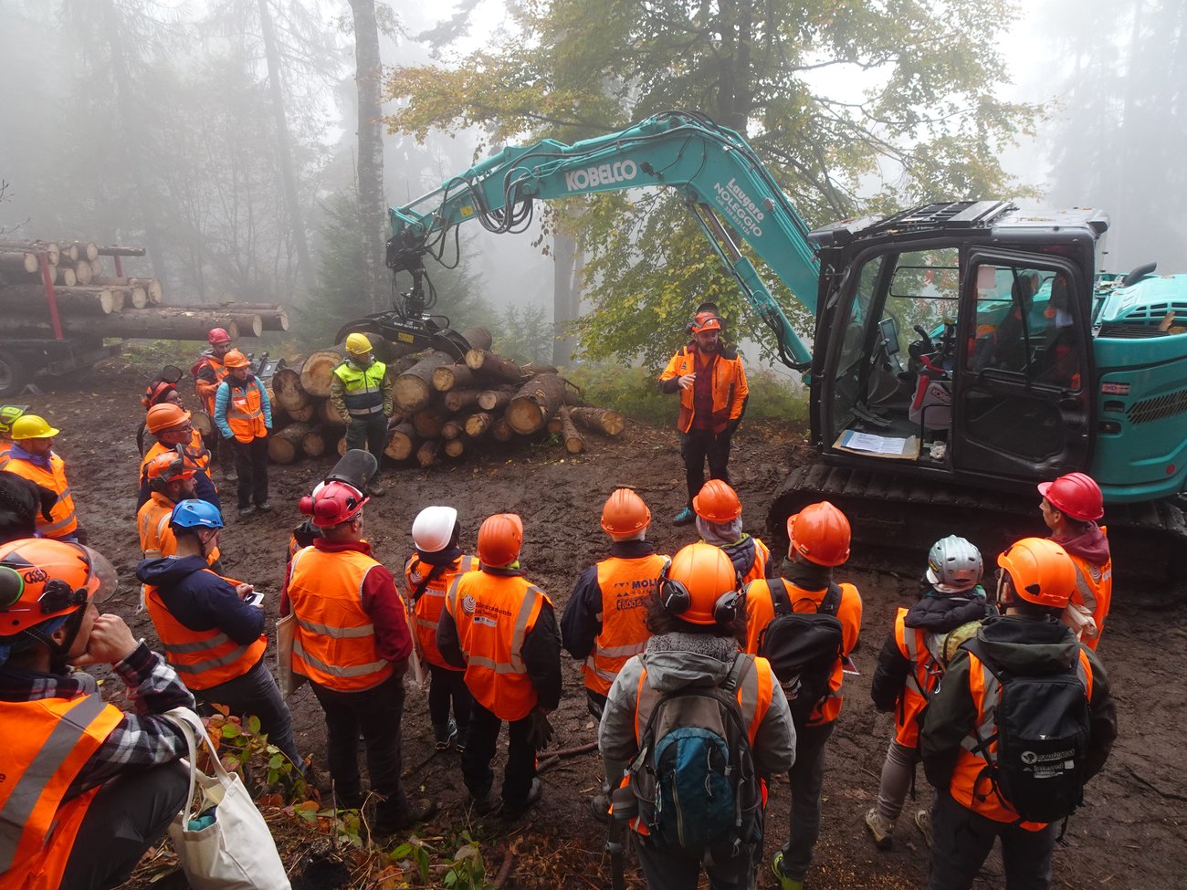 Sicurezza forestale - Formazione