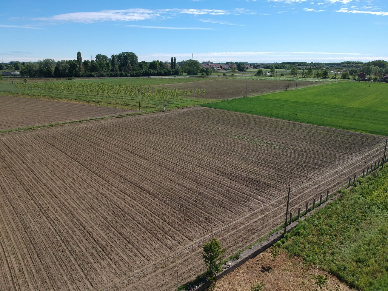 QGIS - Campo dall'alto