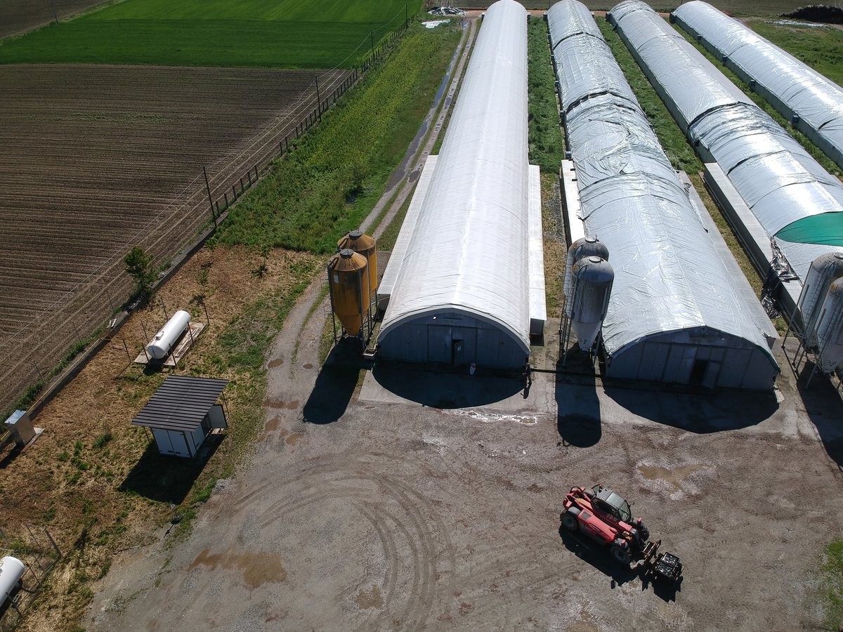 QGIS - Azienda agricola dall'alto