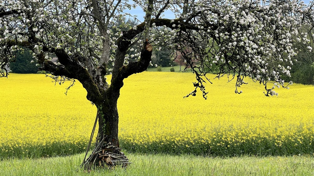 Banca Regionale della Terra - Agricoltura