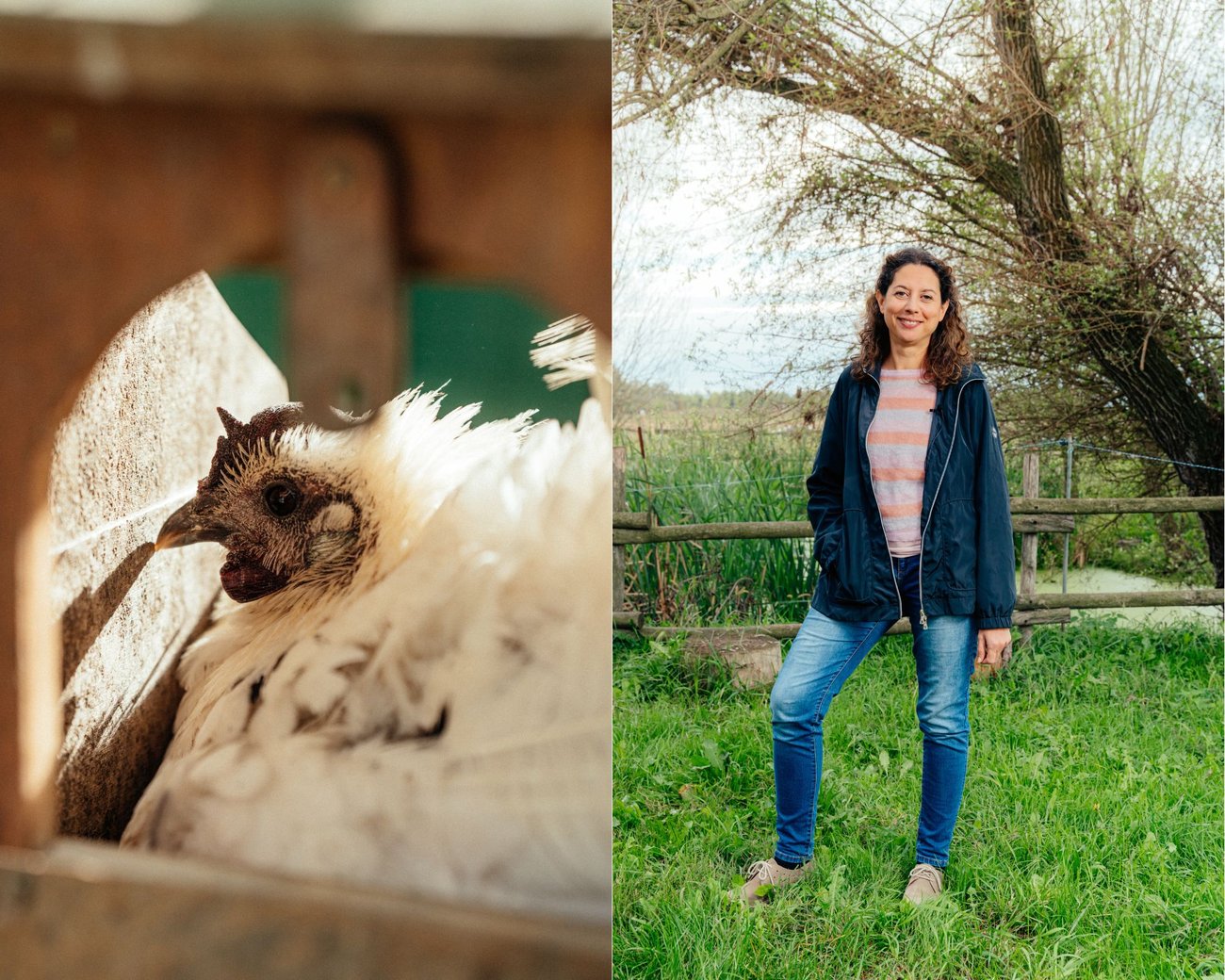 Il Bosco delle Galline Volanti