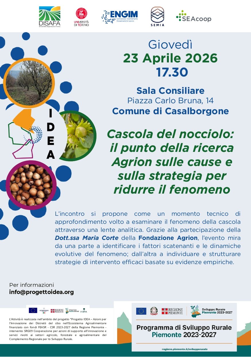 Cascola del nocciolo: il punto della ricerca Agrion sulle cause e sulla strategia per ridurre il fenomeno