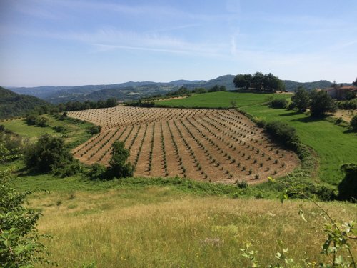Recupero dei terreni abbandonati e accesso alla terra